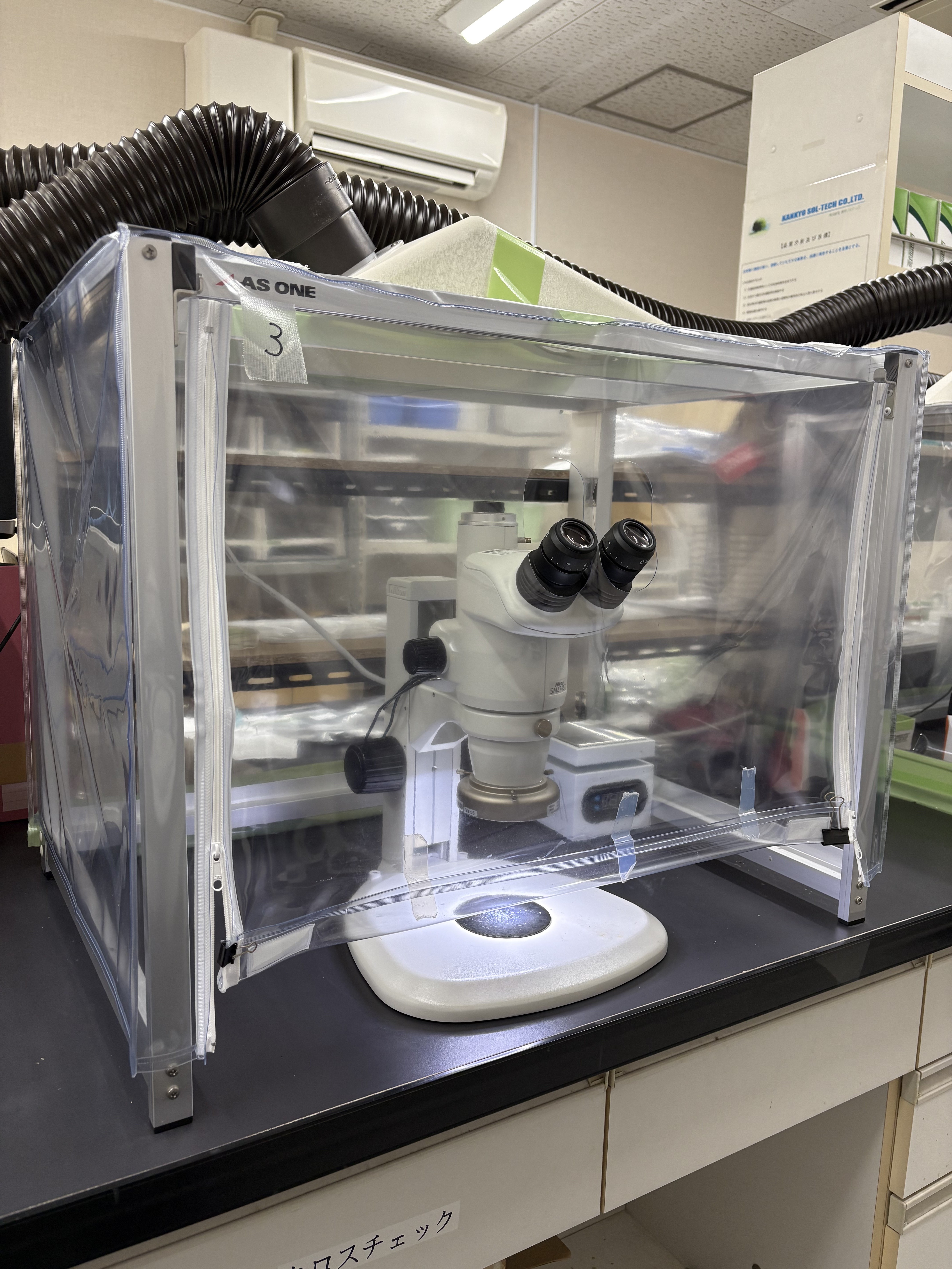 実体顕微鏡