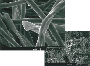 走査型電子顕微鏡（SEM）による拡大観察